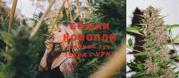 дмт Бронницы
