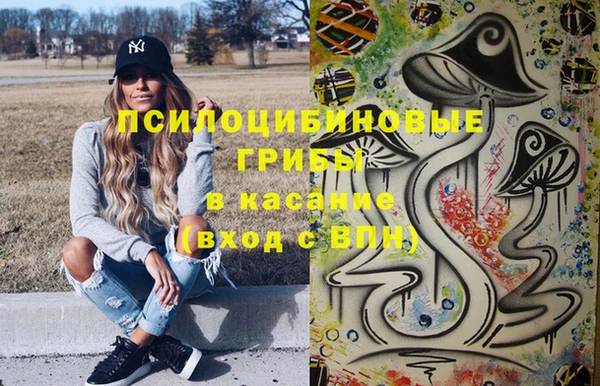 соль курить ск Бородино